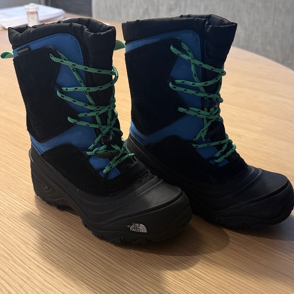 The North Face Black and Blue Boots with Green Laces